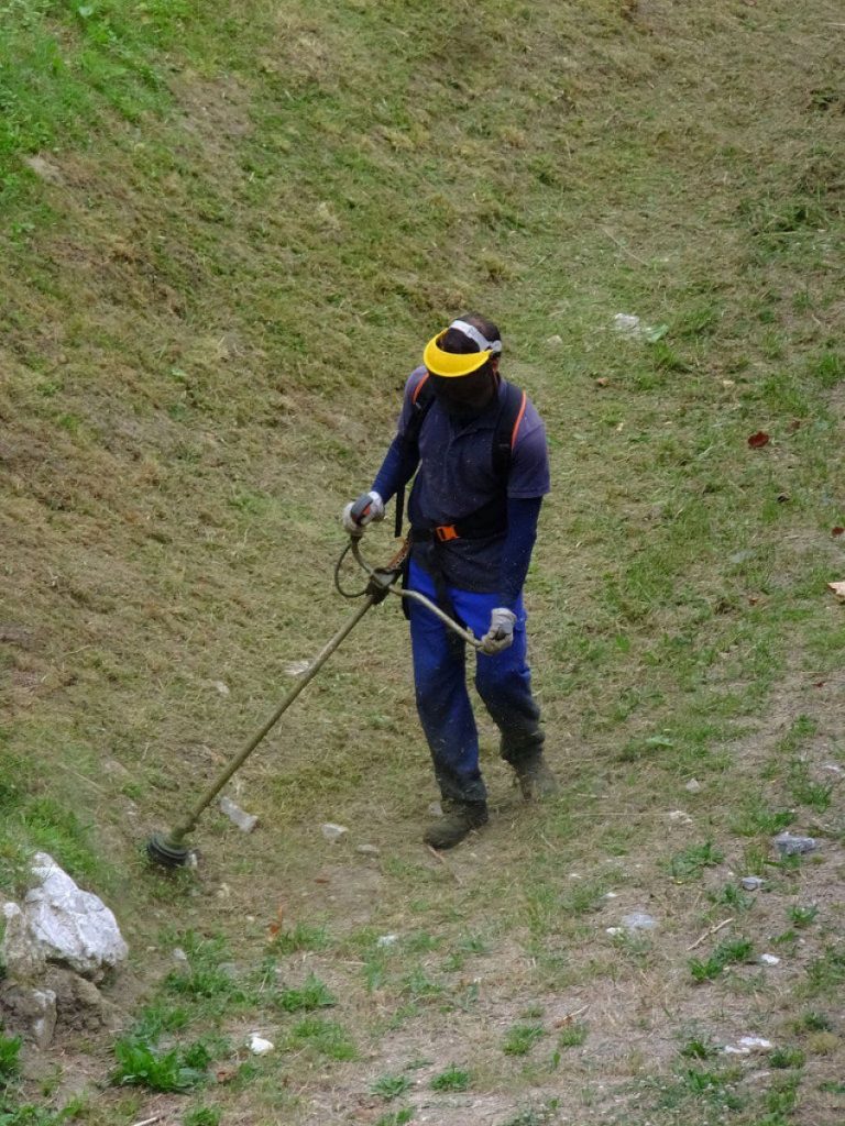 Como Eliminar las Malas Hierbas del Jardín