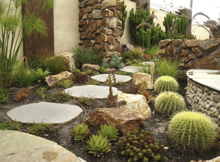 diseño de jardín de secano
