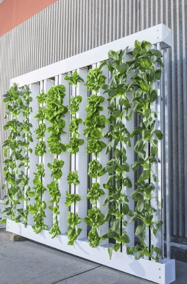 plantas jardin vertical