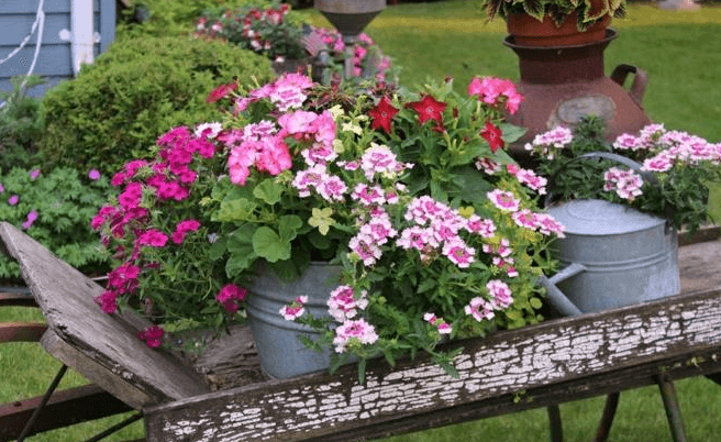 jardines rusticos