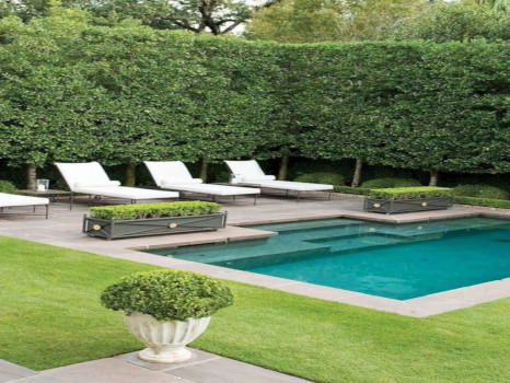 diseño de jardines con piscina