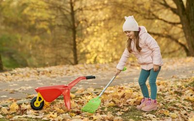 Consejos de Otoño: cómo recoger las hojas del jardín