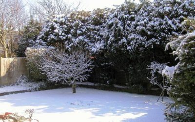 ¿Preparamos el jardín para el invierno?