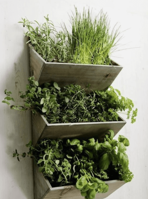 macetas verticales para jardines pequeños