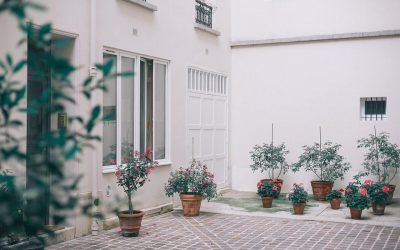 Por qué se han de fertilizar las plantas