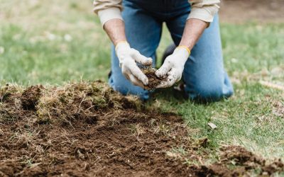 ¿Qué incluye el mantenimiento de jardines?