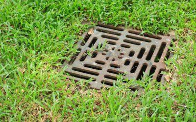 La importancia de limpiar el sistema de drenaje del jardín