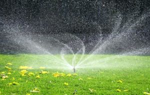 10 consejos para ahorrar agua de riego en el jardín | Jardinería Domenech