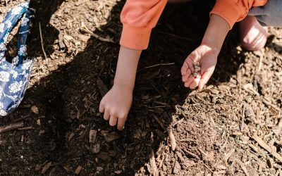 ¿Qué plantas son imprescindibles en un jardín?