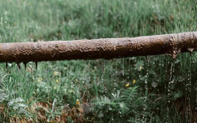 El riego por goteo para jardines: una alternativa eficiente y sostenible