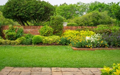 Cuidado y mantenimiento de jardines en zonas costeras