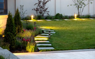 Errores comunes en la construcción de jardines: ¡Evítalos y disfruta de tu espacio verde!